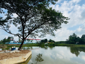 Tuyên truyền sử dụng điện an toàn trong mùa mưa bão